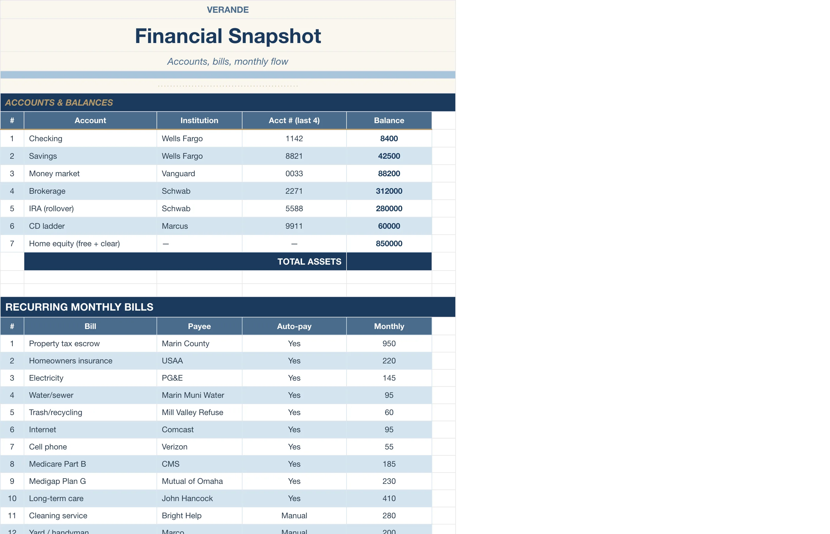 Caregiver Binder Aging Parent — Financial Snapshot