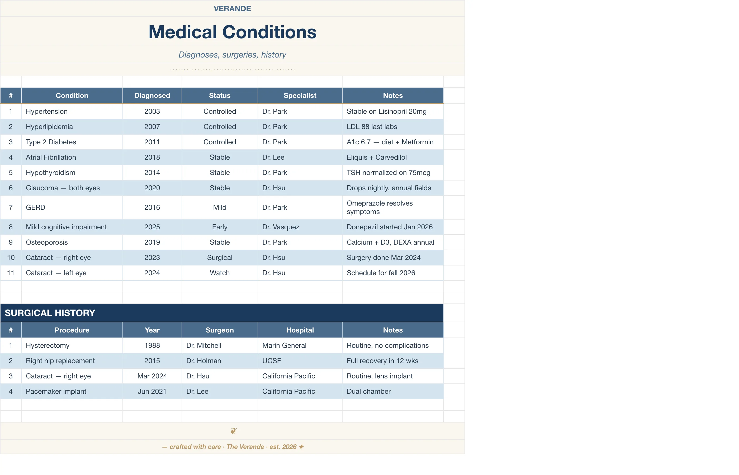 Caregiver Binder Aging Parent — Medical Conditions