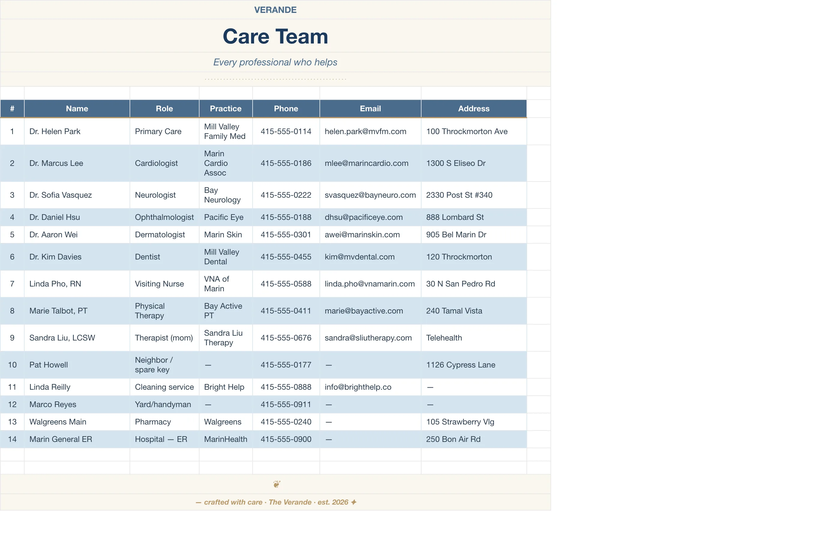Caregiver Binder Aging Parent — Care Team