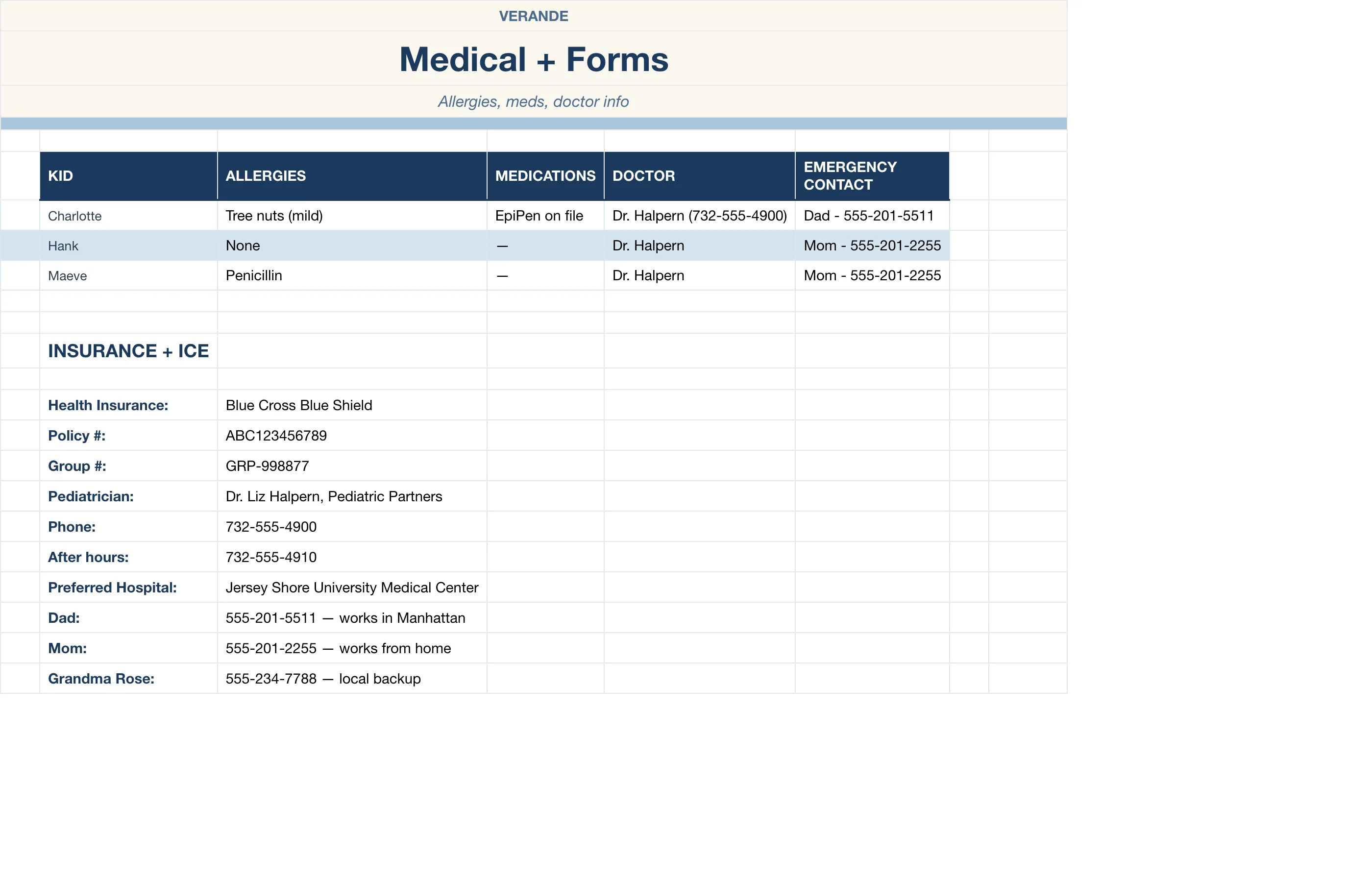 Summer Camp Planner — Medical & Forms